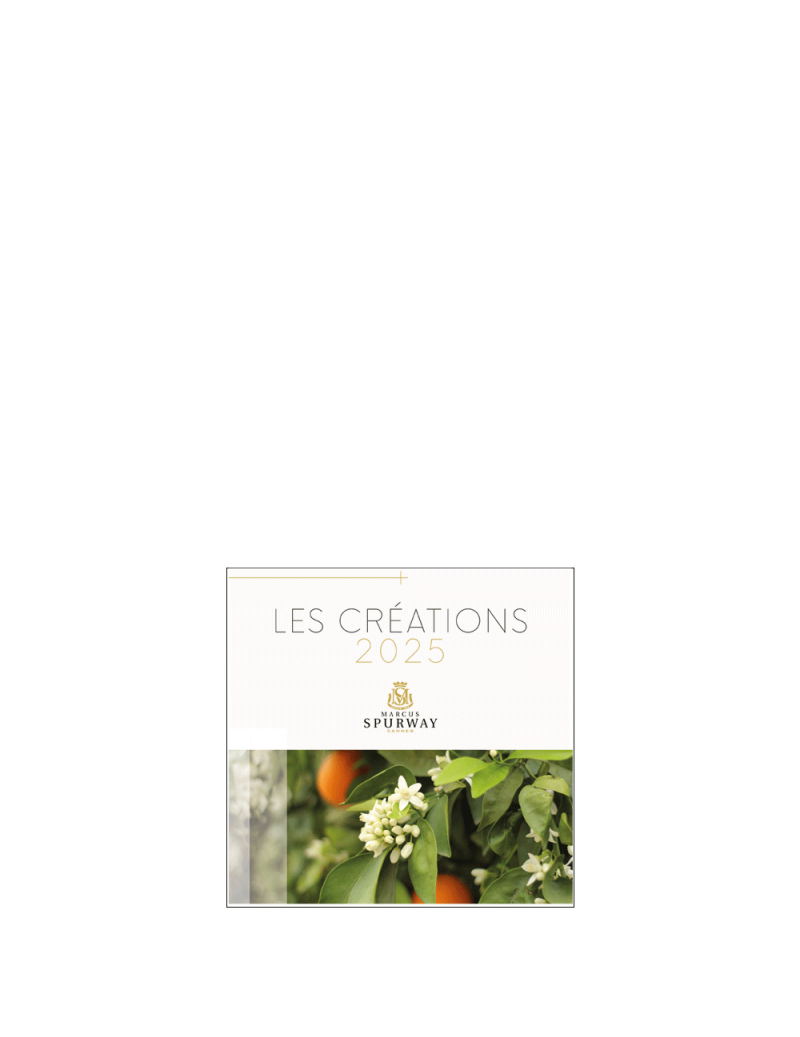 Lot de 5 Catalogues 2025...