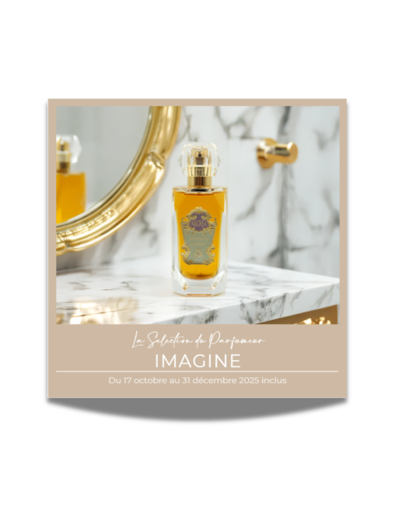 NOEL : Lot de 5 Sélections...