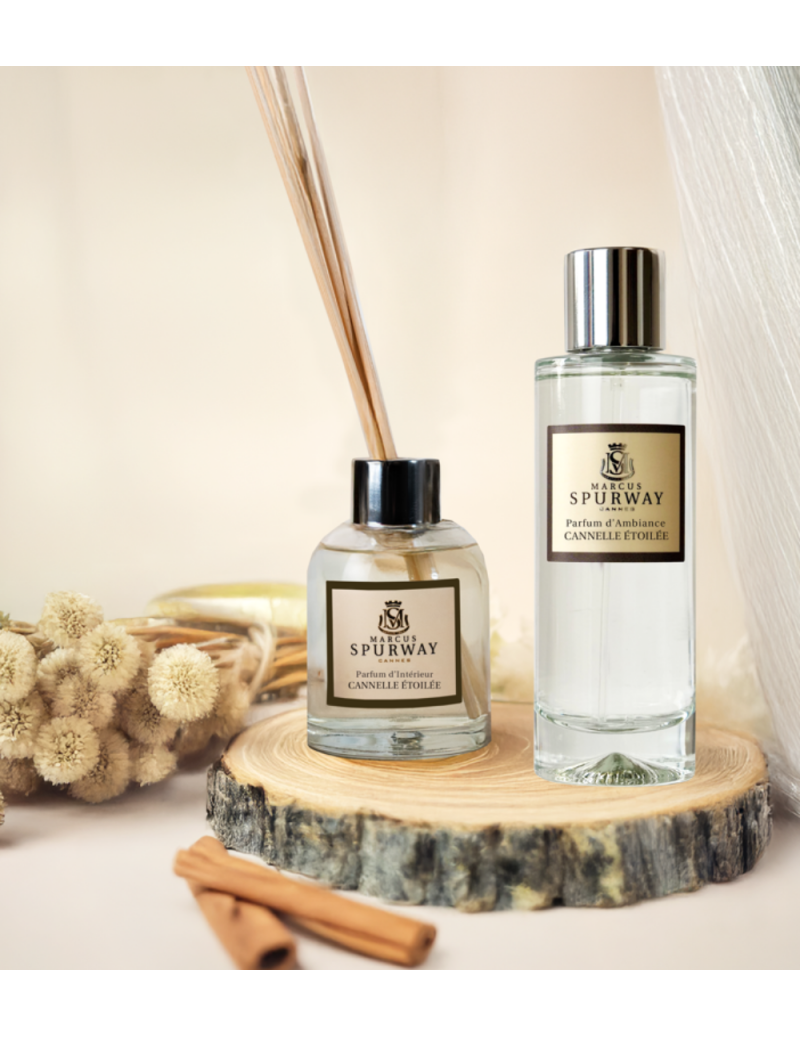 NOEL : DUO Canelle Etoilée...