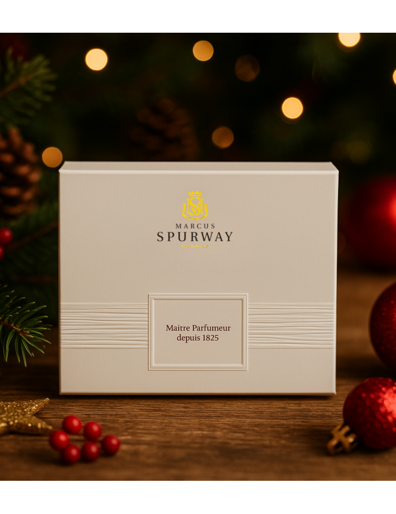 NOEL : Coffret Cadeau petit...