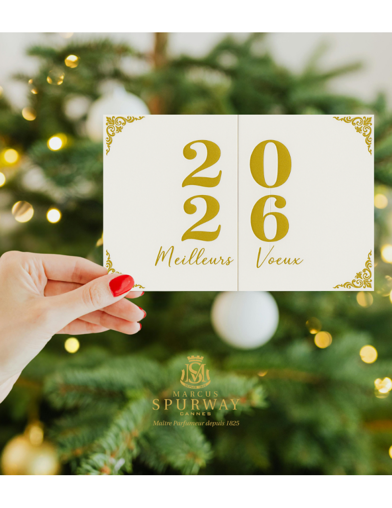 Lot 5 cartes voeux 2026 +...